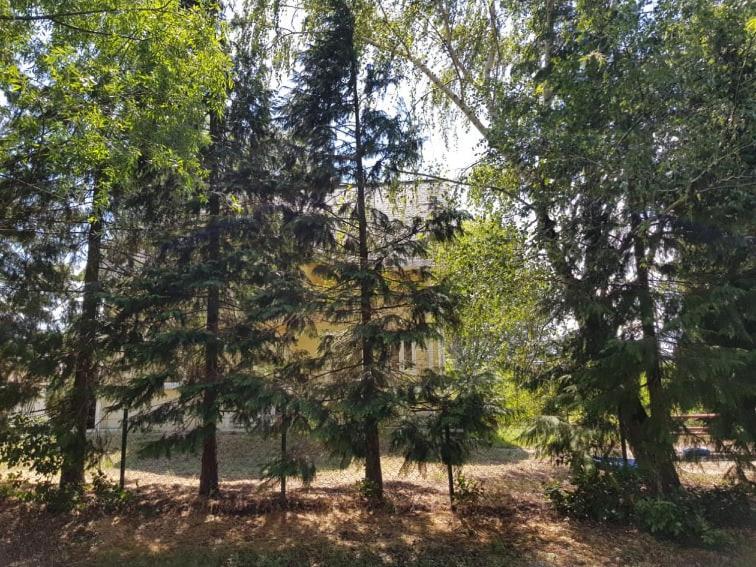 Tóparti Vendégház - Lipót, Magyarország Exterior foto