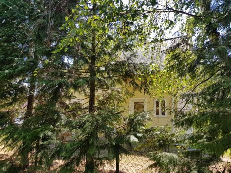 Tóparti Vendégház - Lipót, Magyarország Exterior foto